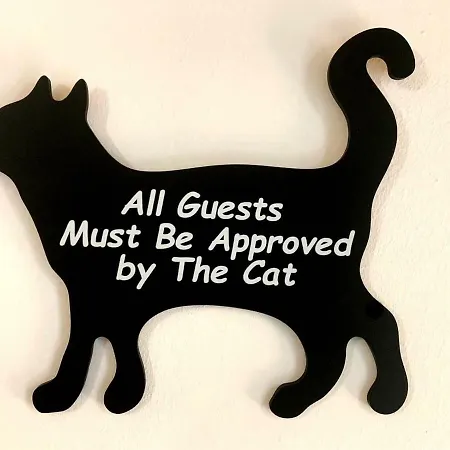 Cat's *